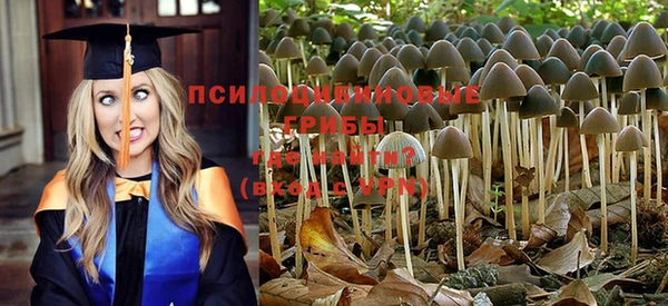 бошки Лагань