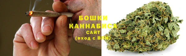 ECSTASY Ладушкин