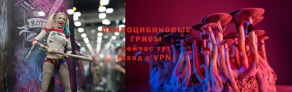 бошки Лагань