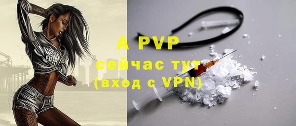 ECSTASY Ладушкин