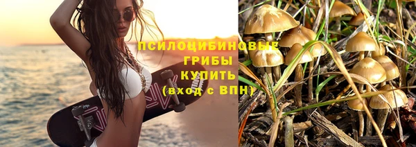 трава Лабытнанги