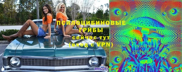 трава Лабытнанги