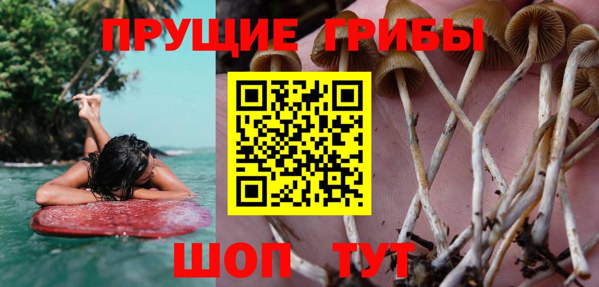 Псилоцибиновые грибы Psilocybine cubensis  Вход с VPN  Галлюциногенные грибы Psilocybe  Сызрань 
